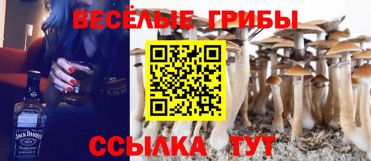 Лсд 25  Вход с VPN  Экстази  МЕТ  ГАШ  МАРИХУАНА  Кизилюрт  МЕТАДОН  Мефедрон   КОКАИН  ГАШ 