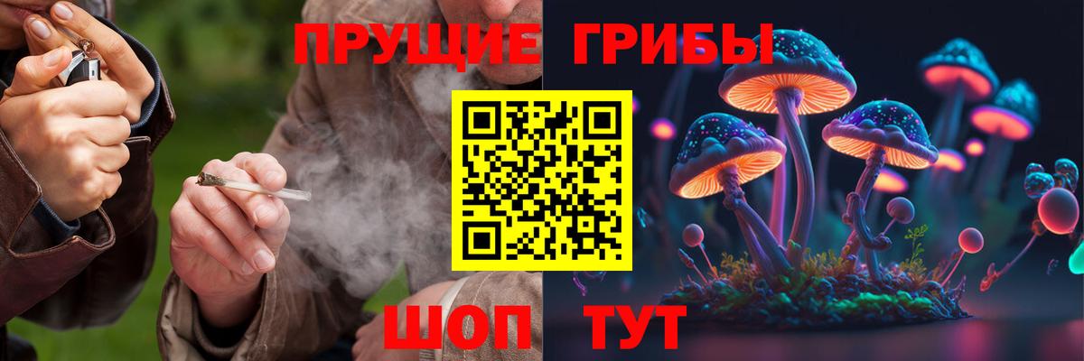Кизилюрт  Псилоцибиновые грибы мухоморы  Псилоцибиновые грибы Cubensis  Вход с VPN 